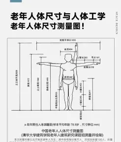 体表面积