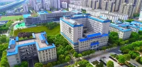 大花