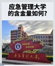 成绩查询