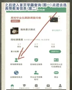 学历信息