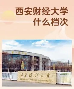 在职研究生