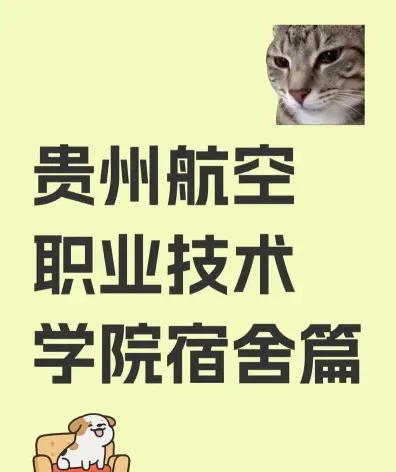 贵州航空