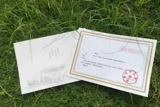 在职研究生