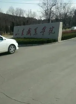 山东职业学院