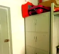 专业