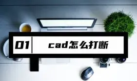 学习者