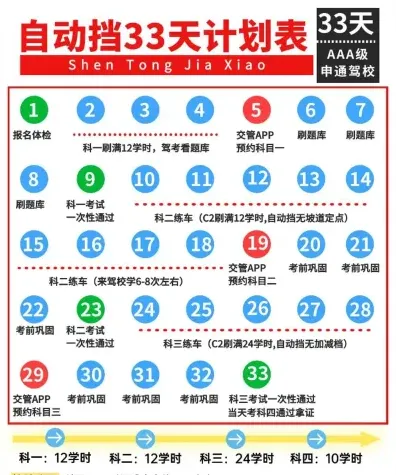 自动挡驾照