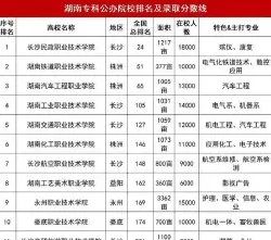 本科院校