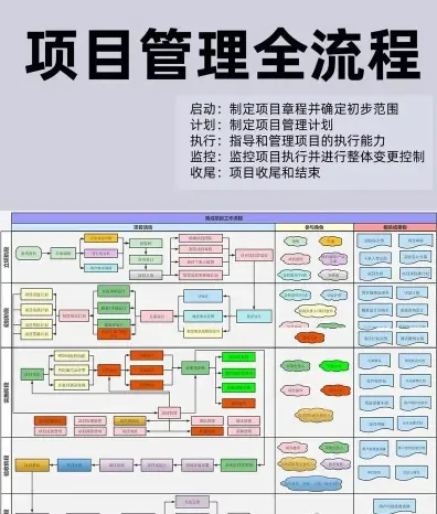 项目