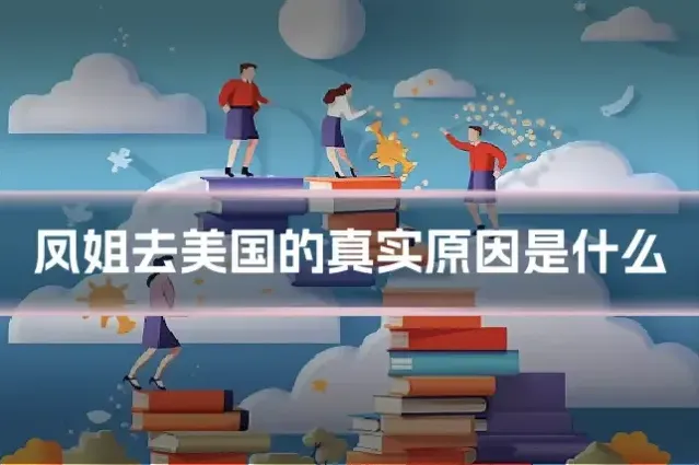 凤姐去美国的真实原因是什么