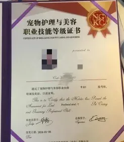 宠物美容师