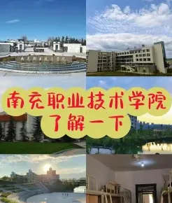 提供