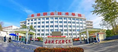 专业