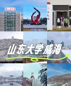 山东大学
