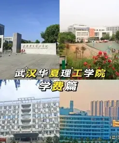 学校