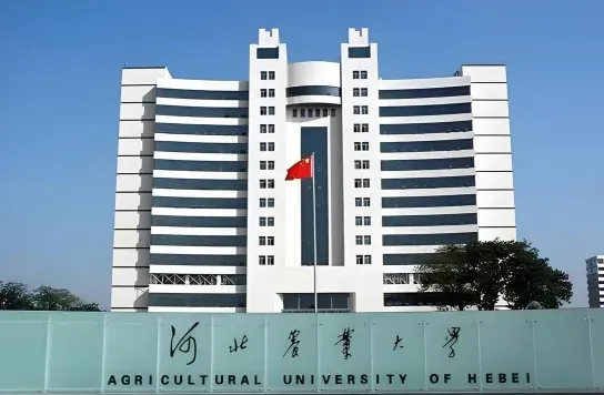 大赛