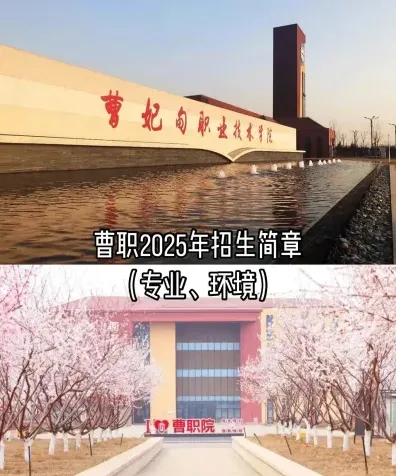 双师型
