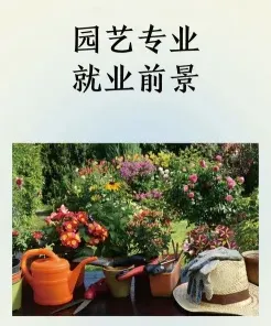 生活