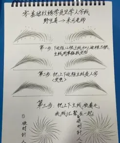 提供
