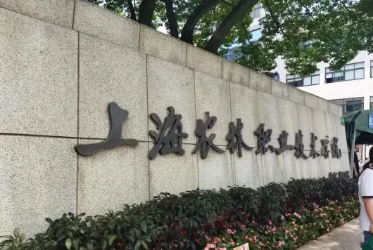 上海市