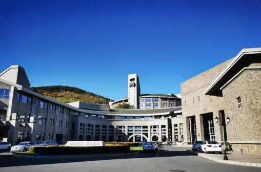 教学成果