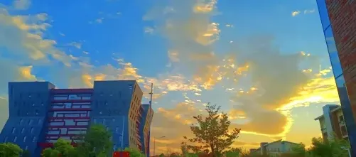 酿酒