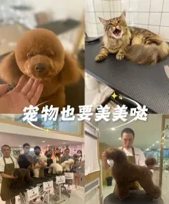 学习时间