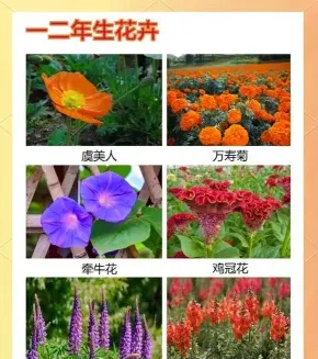 也有