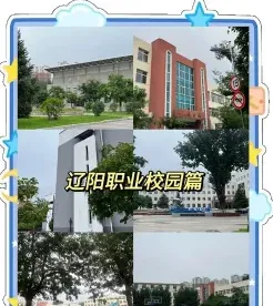 基地