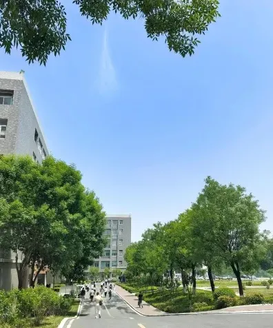 职业教育