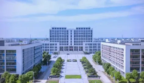 专业