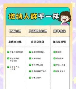 机构