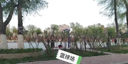 中国