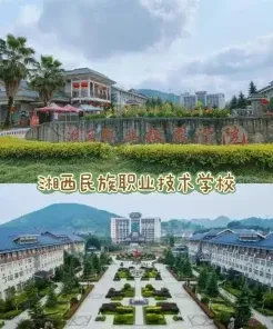 专业