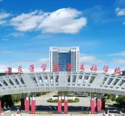 信息