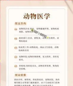 动物