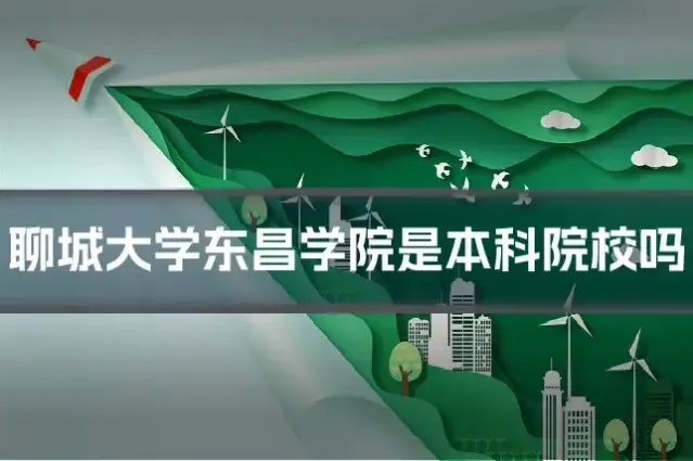 聊城大学东昌学院是本科院校吗