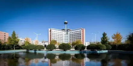 应天