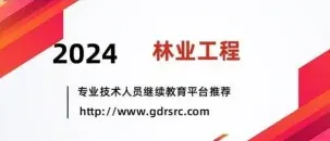专业