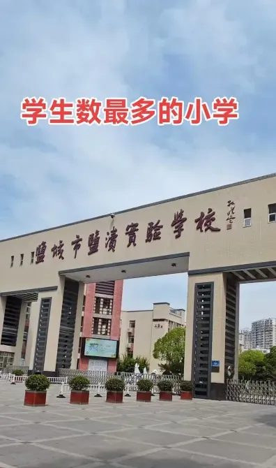学校