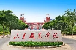 山东职业学院