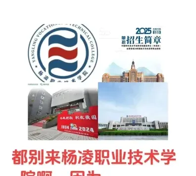 学院