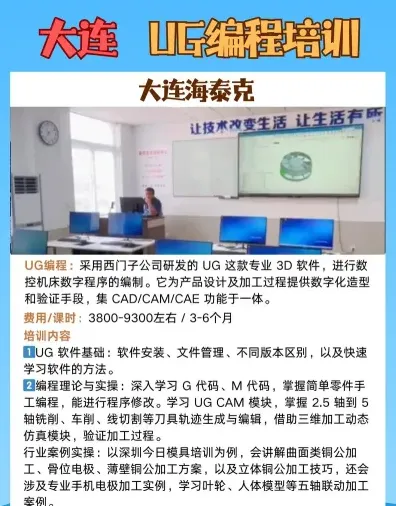 编程培训