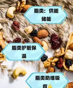 脂肪