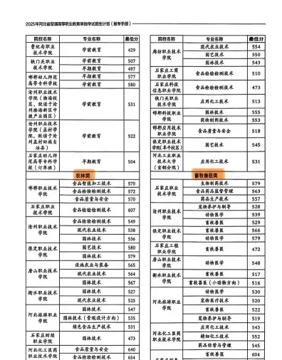 专业