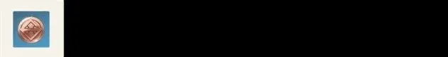 原神热斗