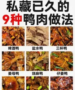 鸭子