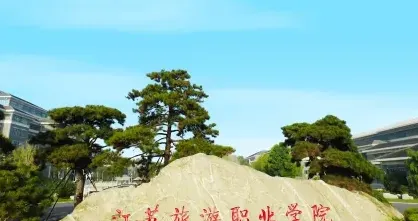特色