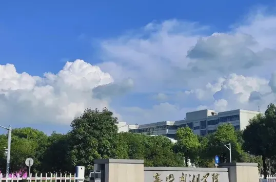 中心