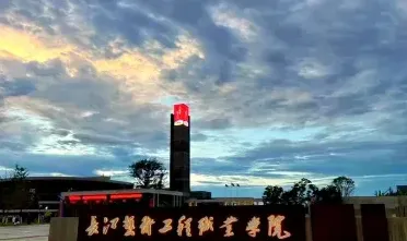 能力